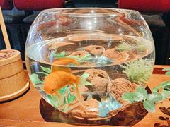 -300杯·和牛烧肉清酒专门店(廊里店)
