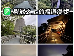 -福道