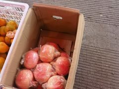 -西北农副产品中心批发市场(广安路店)