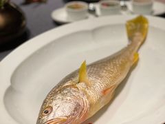 -荣府宴(南阳路店)