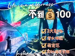 -太平洋海底世界