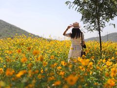 -大连铭湖国际观光牧场