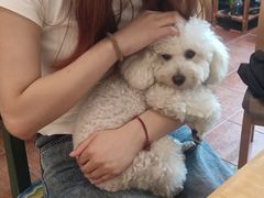 -默迹咖啡馆