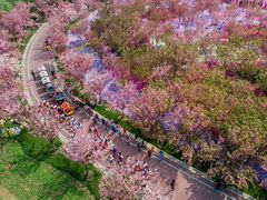 -南通洲际绿博园