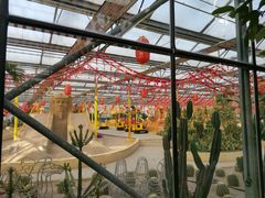 -南宫五洲植物乐园