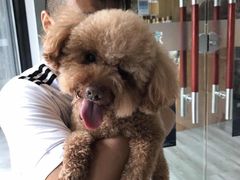 -爱侣宠医·鹦鹉专科·小型哺乳类·异宠专科(灵石路店)