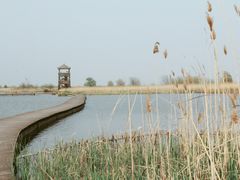 -盐城丹顶鹤湿地生态旅游区