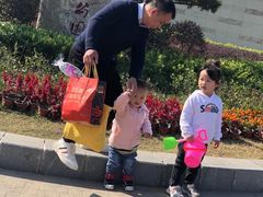 -九龙湖公园