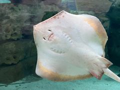 -珠海长隆海洋王国