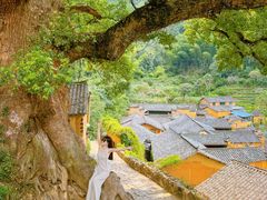 -杨家堂村