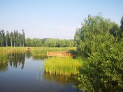 -张家湾公园
