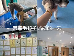 -博特宠物医院24h犬猫全科.骨科·异宠