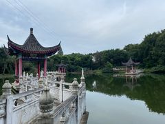 -青龙山国家森林公园