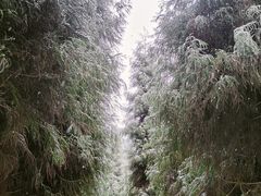 -九峰山