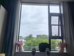 -喜喜月子爱护机构(槐东南路店)