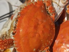 -半岛听涛蒸汽海鲜自助(K11店)