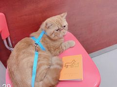 -艾贝尔宠物诊疗