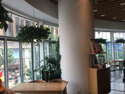 -悦诗风吟innisfree