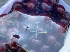 -西郊国际农产品交易中心