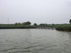 -西青郊野公园