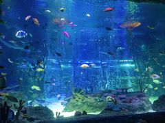 -沈阳海洋探索中心