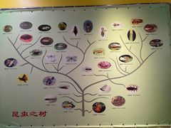 -上海昆虫博物馆