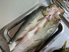 -漁耕小厨农家院(武当山店)