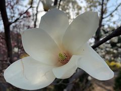 -北京西山国家森林公园