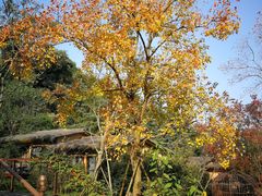 -杭州开元森泊度假乐园