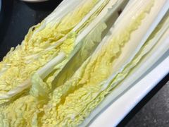 -蜀香居鲜毛肚火锅