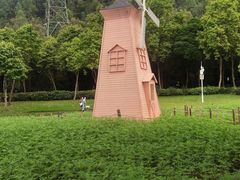 -顺峰山公园