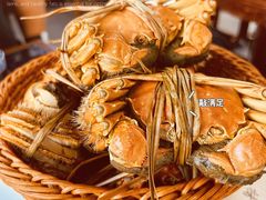 -蟹村草堂·苏式园林人文农家·大闸蟹