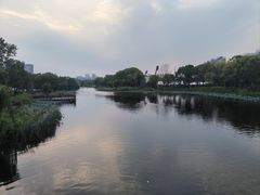 -新江湾城公园