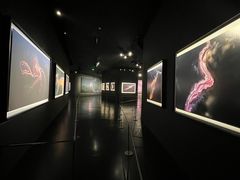 -罗红摄影艺术馆