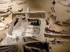 -洛阳周王城天子驾六博物馆