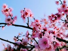 -白塘生态植物园