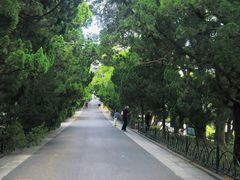 -八大关景区