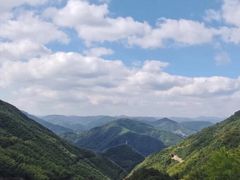 -宁波浙东大竹海景区