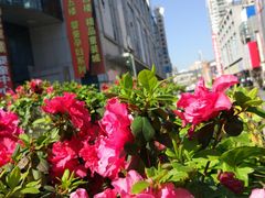 -七浦路服装批发市场
