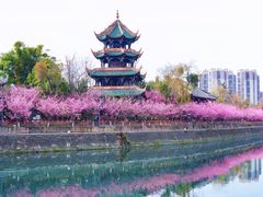 -望江楼公园