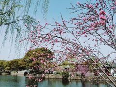 -无锡蠡湖国家湿地公园-蠡园