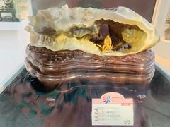 -东平国家森林公园