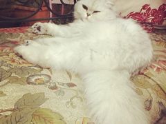 iphone_upload_pic-广州迷途主题旅馆(海珠广场店)