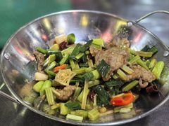 -东鸽皇(奥园·中环广场店)