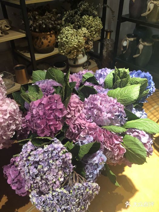 塔莎花园鲜花店(包河店)-图片-合肥购物-大众点评网