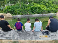 -秦皇岛乐岛海洋王国