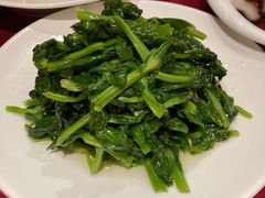 酒香豆苗-老吉士酒家(天平路店)
