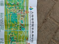 -上海海湾国家森林公园