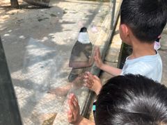 -宁波野生动物园