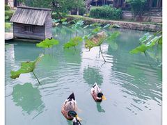 -乌村
